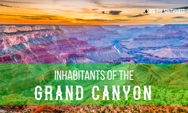 Inhabitants of the Grand Canyon | See The Southwest