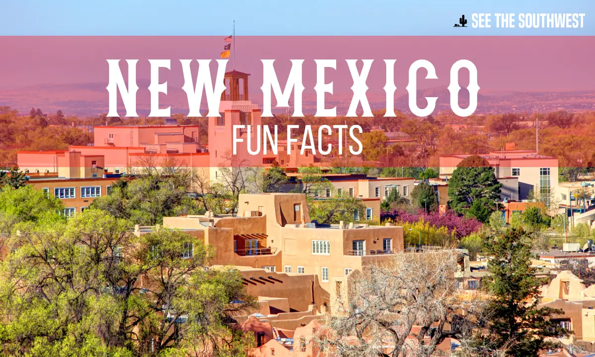 What Are 10 Fun Facts About New Mexico